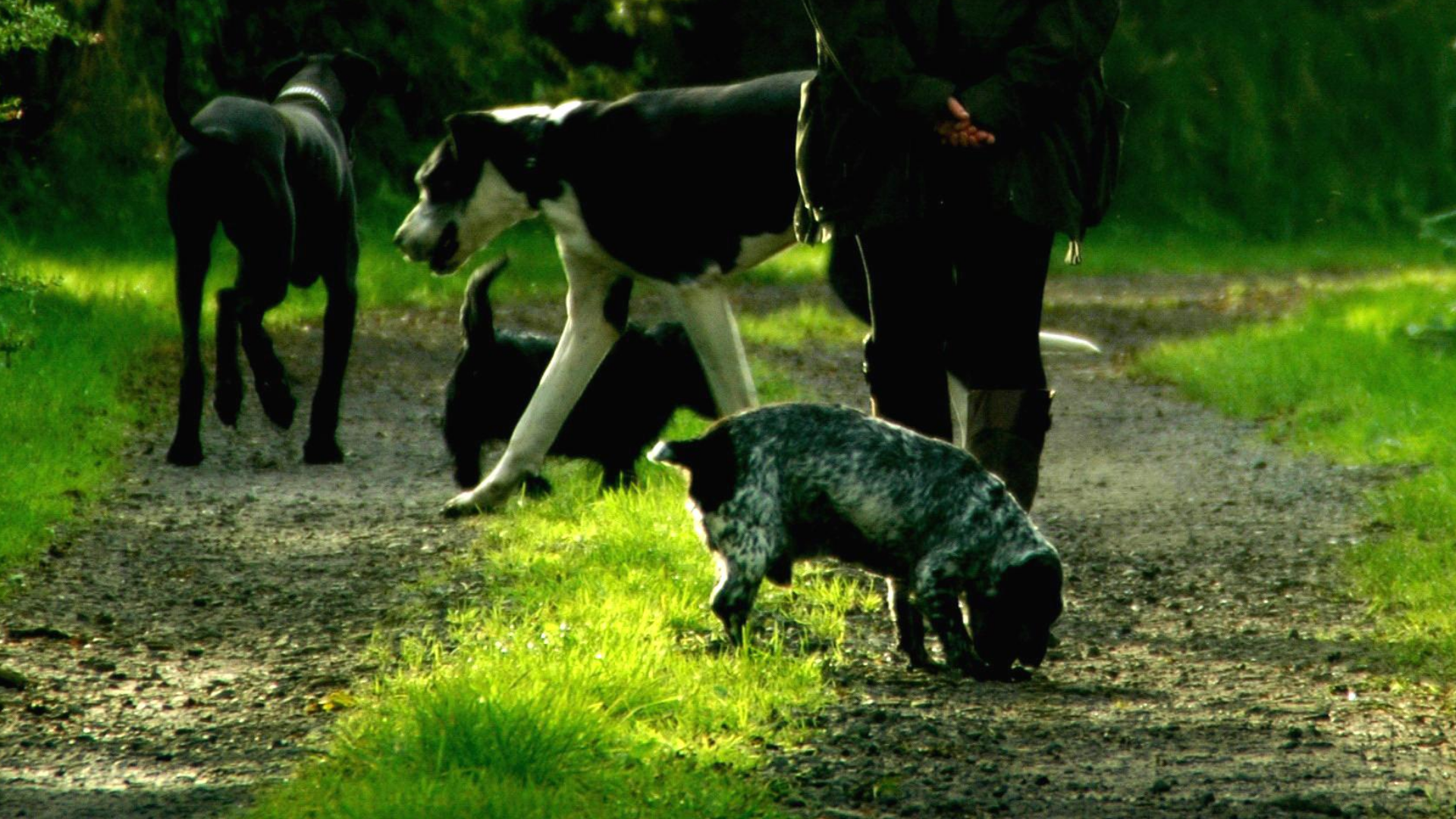 Stay Warm and Comfortable During Long and Frequent Walks With Your Best Friend