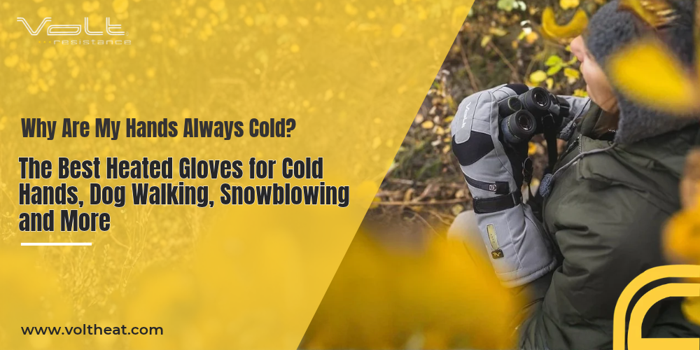 Why Are My Hands Always Cold? The Best Heated Gloves for Cold Hands, Dog Walking, Snowblowing and More
