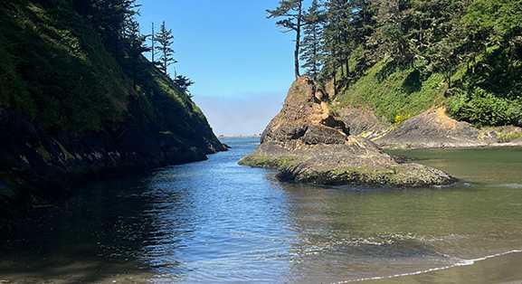 My Recent Trail Hikes