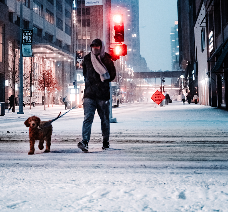 WALKING YOUR DOG WITH WARM HANDS