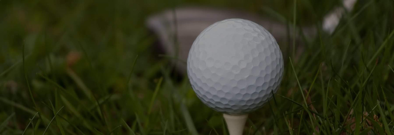 Golf ball on lush green grass